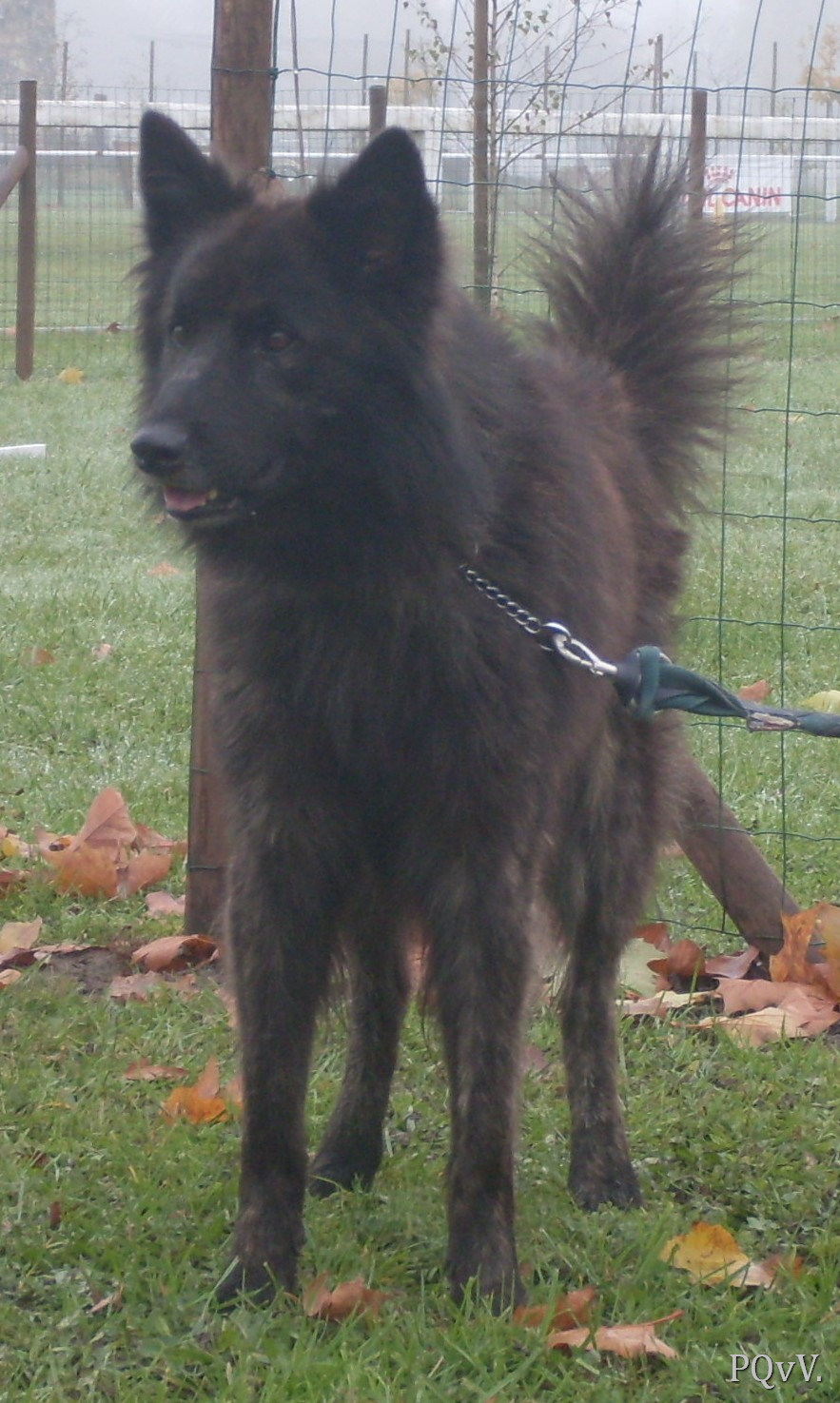  Faelan de la Horde d’Artemis (pas inscrit pour le RE)